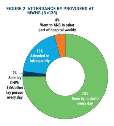 Graph showing attendance by providers at MWHS